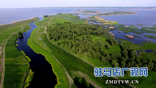 把美丽写在天中大地上——驻马店市创建国家森林城市纪实
