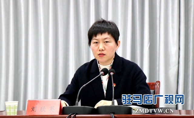 共青团驻马店市委三届二次全委（扩大）会议召开