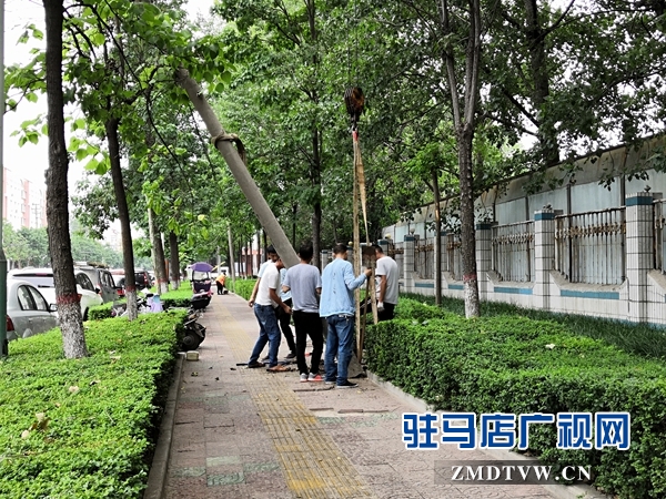 市长关注民生  交通路西段歪斜线杆已扶正 