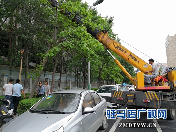 市长关注民生  交通路西段歪斜线杆已扶正 