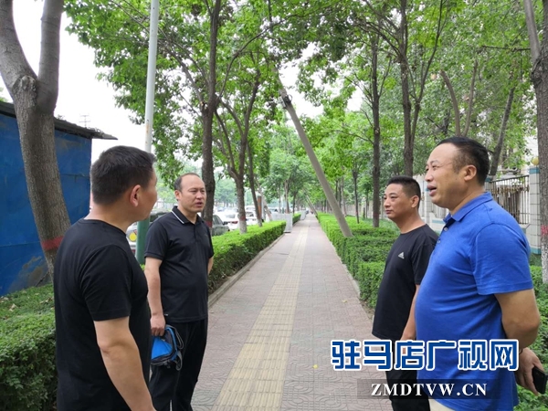 市长关注民生  交通路西段歪斜线杆已扶正 