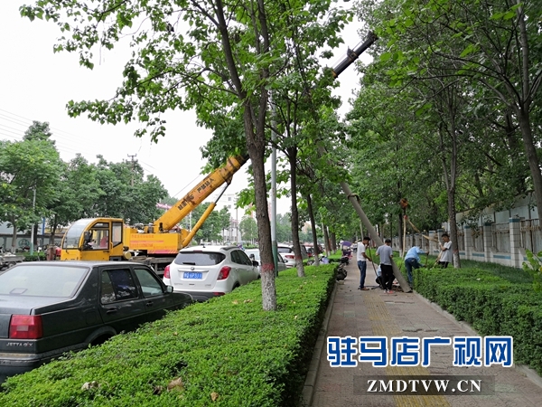 市长关注民生  交通路西段歪斜线杆已扶正 