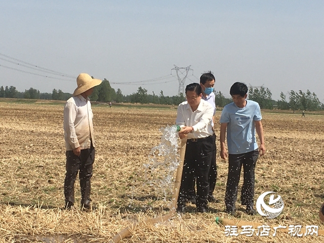 朱是西到上蔡县调研指导抗旱抢种及产业发展