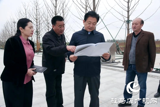 朱是西深入汝南县调研中国农民电影节筹备情况