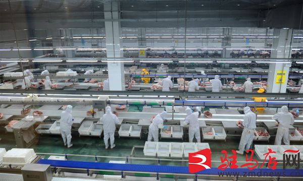 以高质量项目建设撑起现代化驻马店脊梁