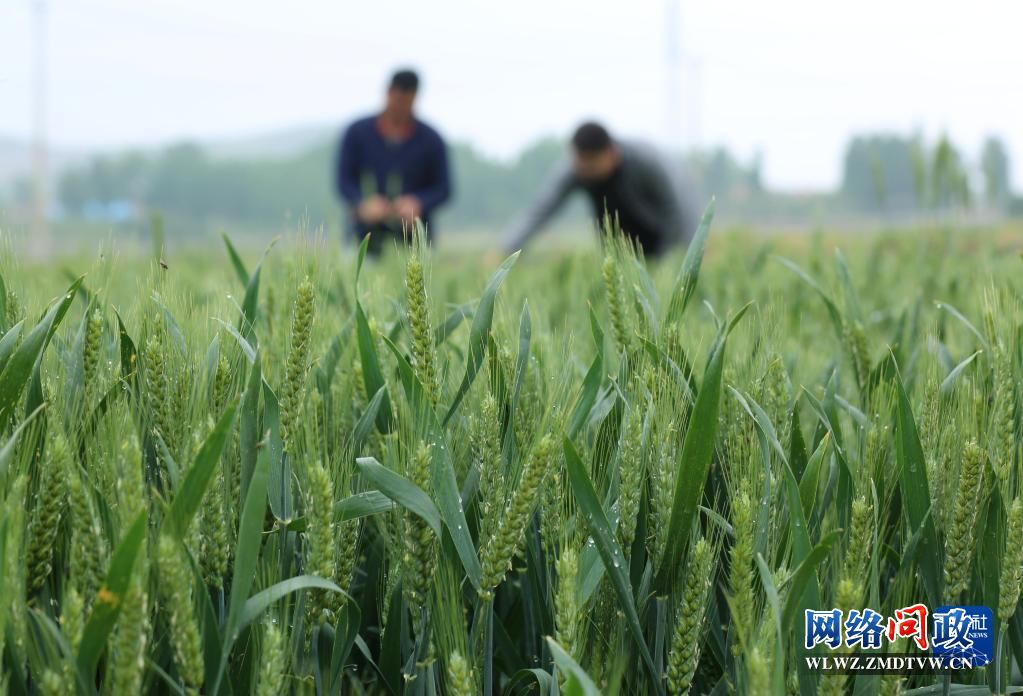 1683335526395328.jpg 1129592457_16832865532881n.jpg